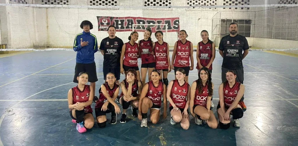 Voleibol